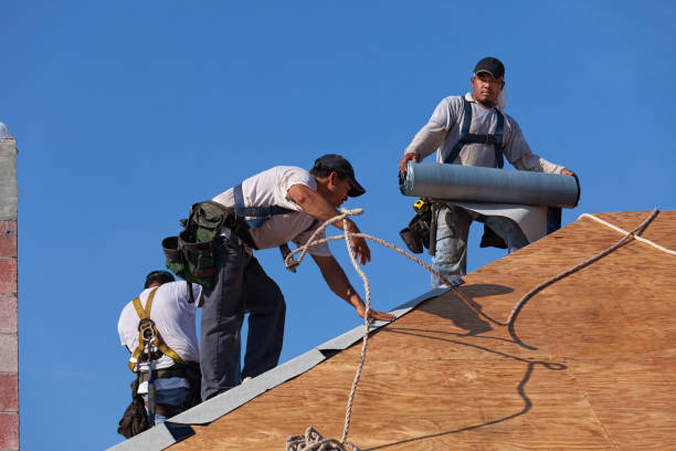Best Residential Roofing Contractor  in Wellman, IA