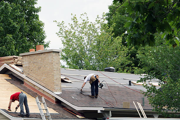 Roof Gutter Cleaning in Wellman, IA