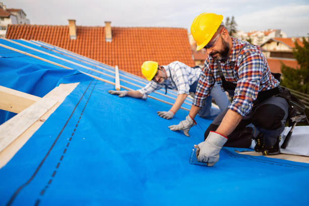 Best Local Roofing Companies  in Wellman, IA