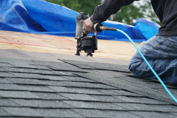 Best Roof Gutter Cleaning  in Wellman, IA