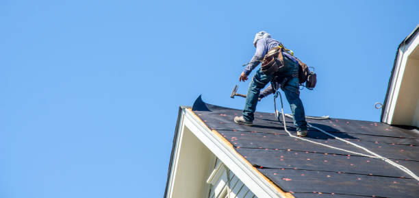 Best Metal Roofing Contractor  in Wellman, IA